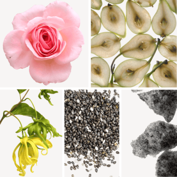 Duftnoten: Rose, Birne, Yang-Ylang, Ambrettsamen, Moschus